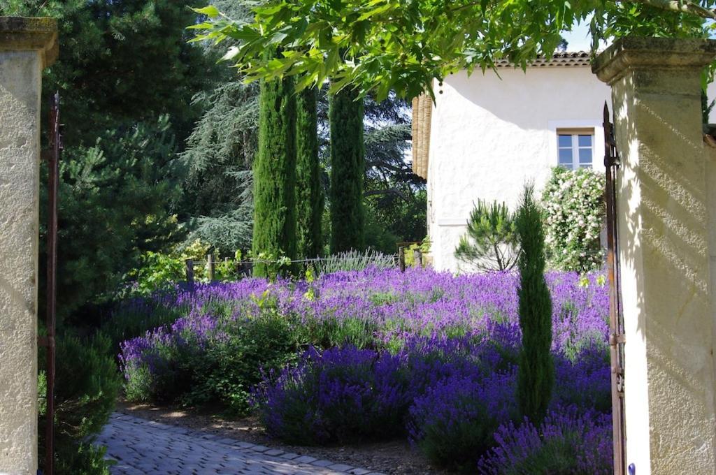 Apartament On Dirait Le Sud Andrezieux-Boutheon Zewnętrze zdjęcie